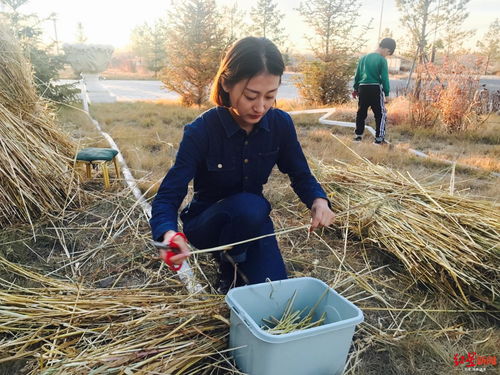 鄉(xiāng)村 李佳琦 們年入幾十萬(wàn)的秘密